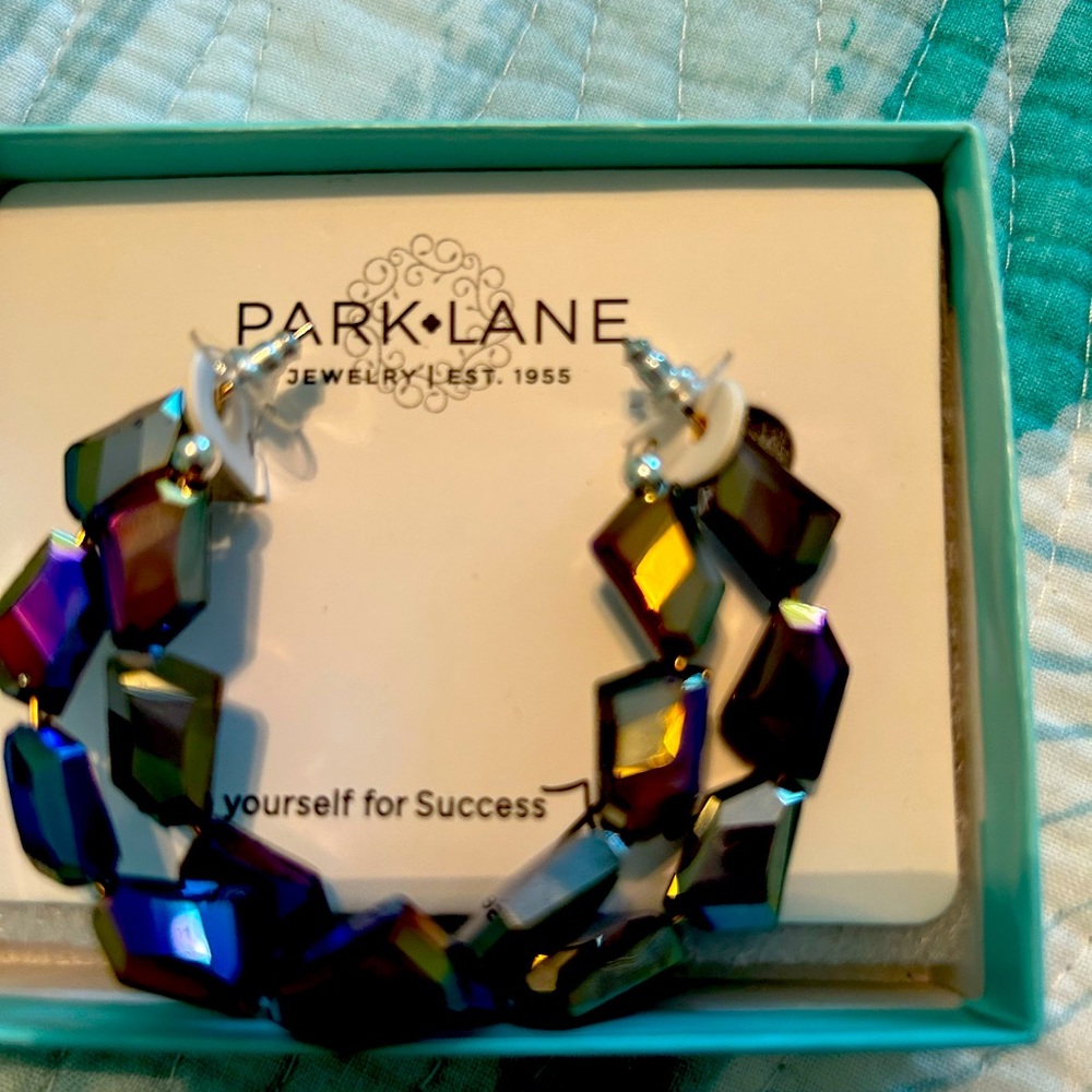 Earrings by Park Lane